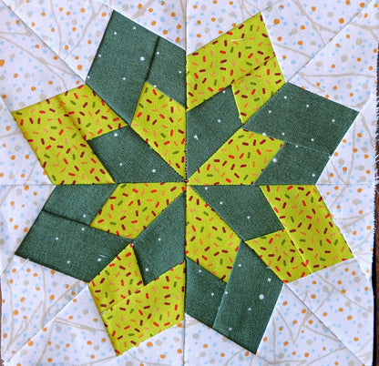 Foundation Paper Pieced Star Sampler 12 inch Blocks